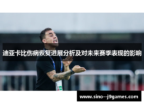 迪亚卡比伤病恢复进展分析及对未来赛季表现的影响